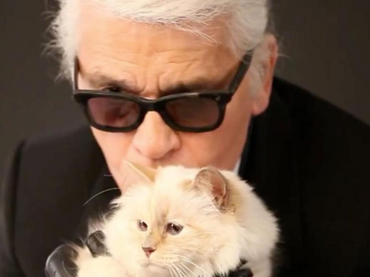 Кот Стива Джобса и его след в дизайне Apple