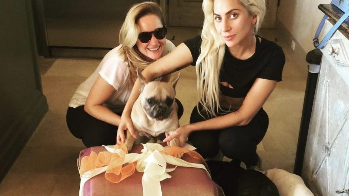 Как собаки Леди Гаги украли шоу и стали звездами