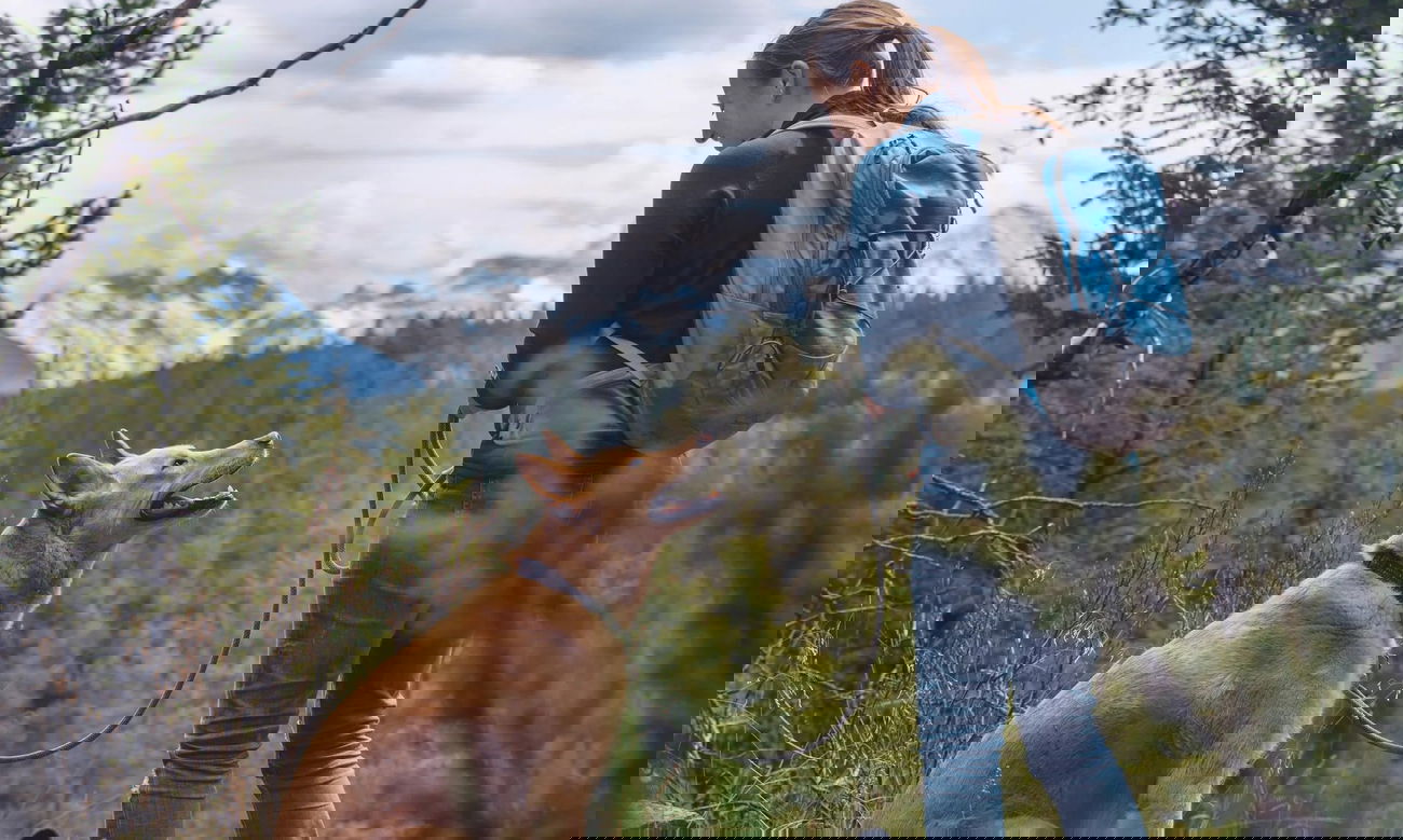 Собака с протезом лапы покорила горный маршрут и доказала, что невозможное возможно