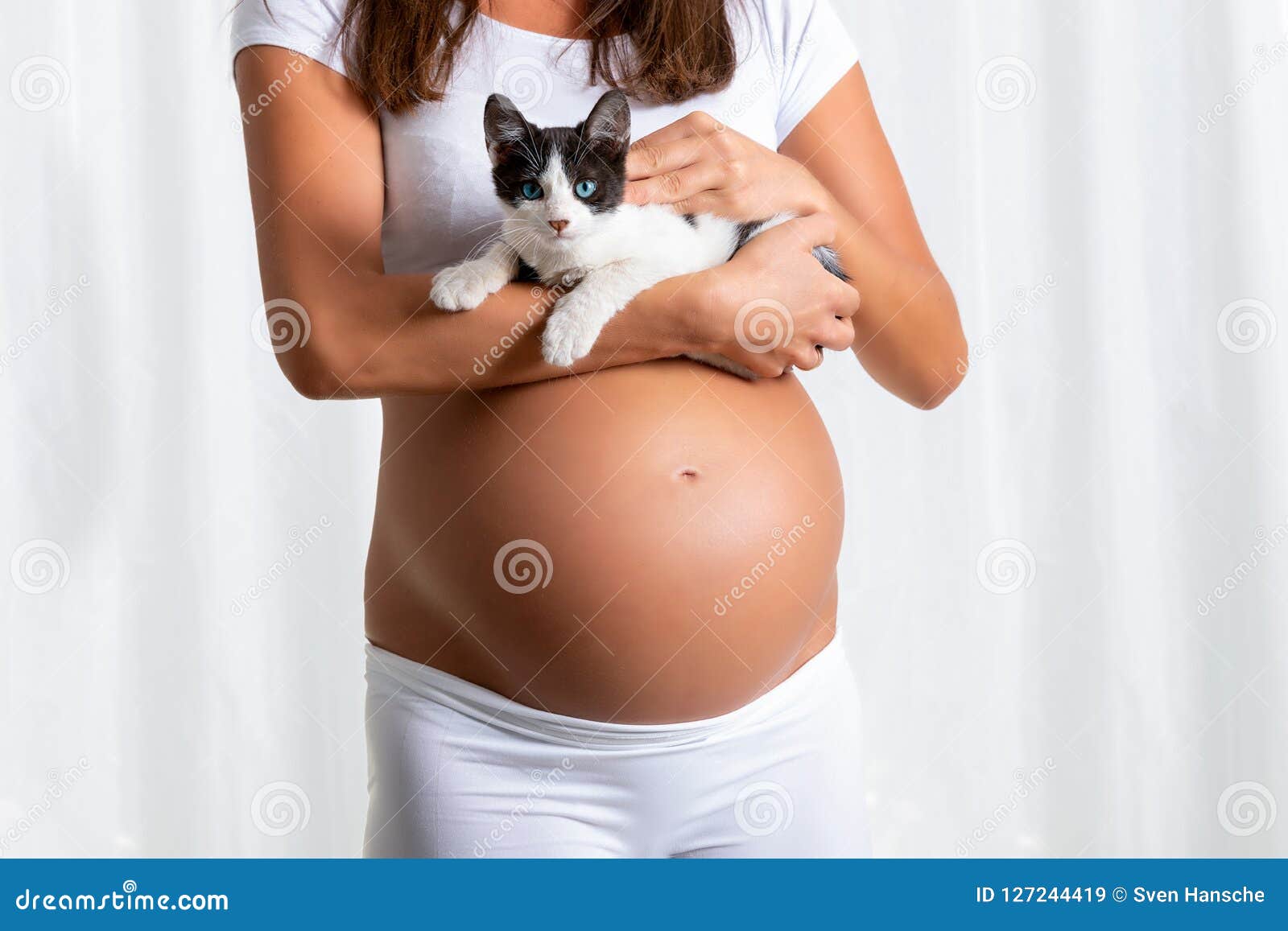 Ваша кошка знает о беременности раньше теста