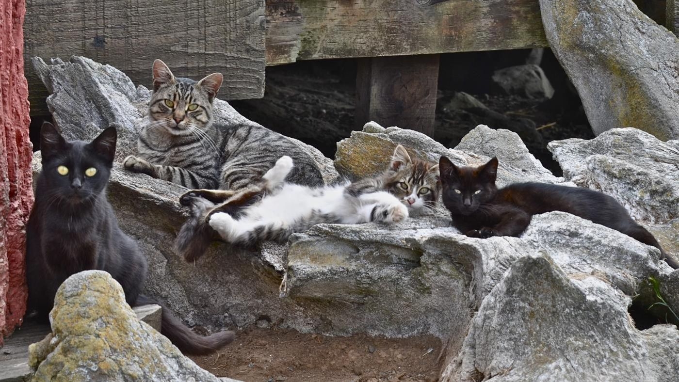 10 фото с мастером камуфляжа которые взорвали соцсети