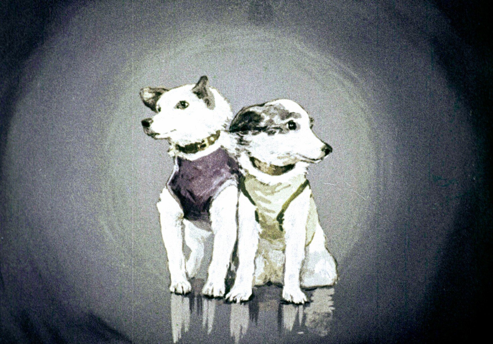 Сможете ли вы назвать всех собак-космонавтов СССР