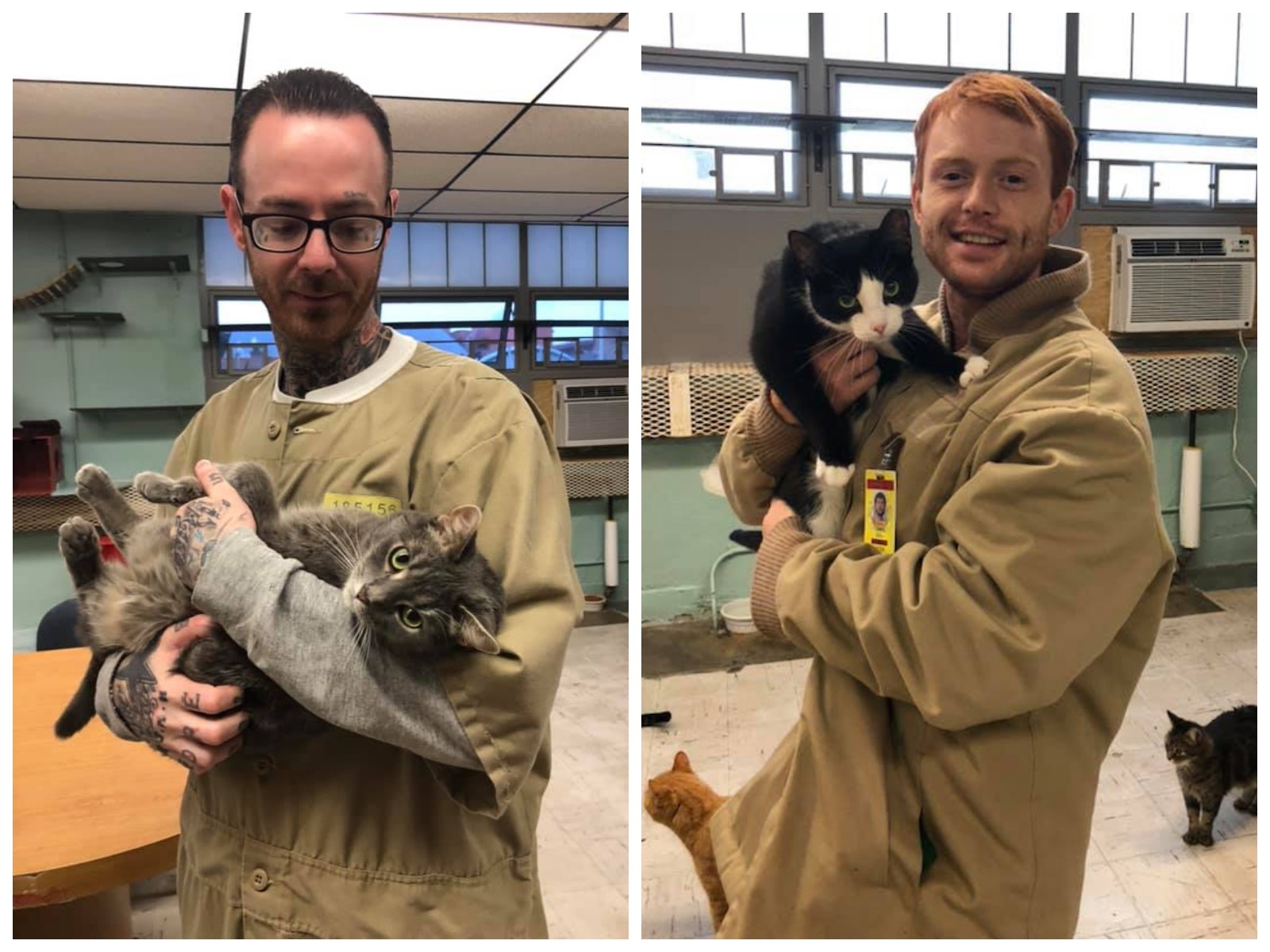 Мурка раскрыла подкоп в тюрьме и получила звание «Лучший сотрудник ФСИН»