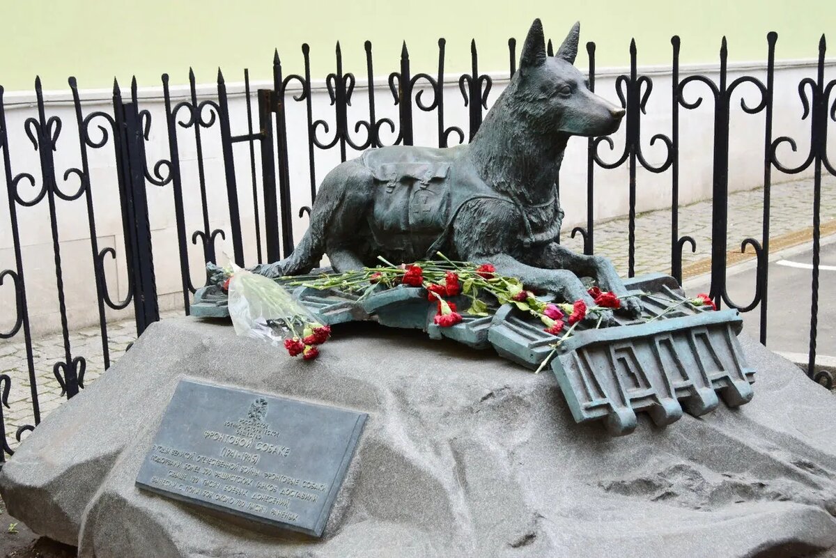 Пес бросился под поезд и спас ребенка от гибели