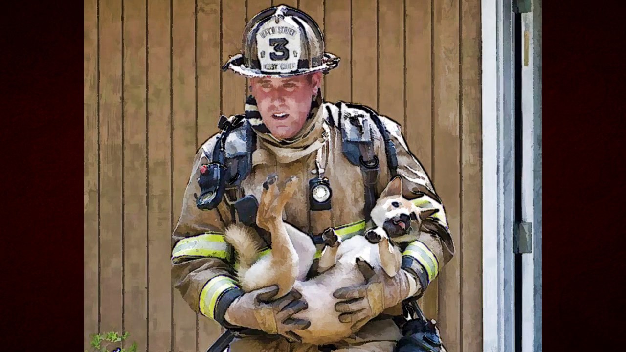 Мурчащий герой спас семью из огня