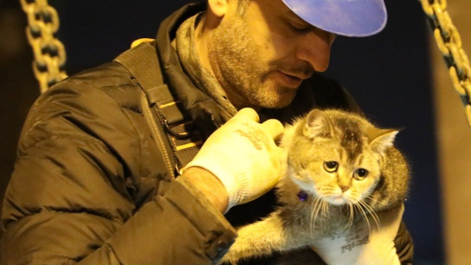 Кот прошел 10 км чтобы спасти ребенка с аутизмом