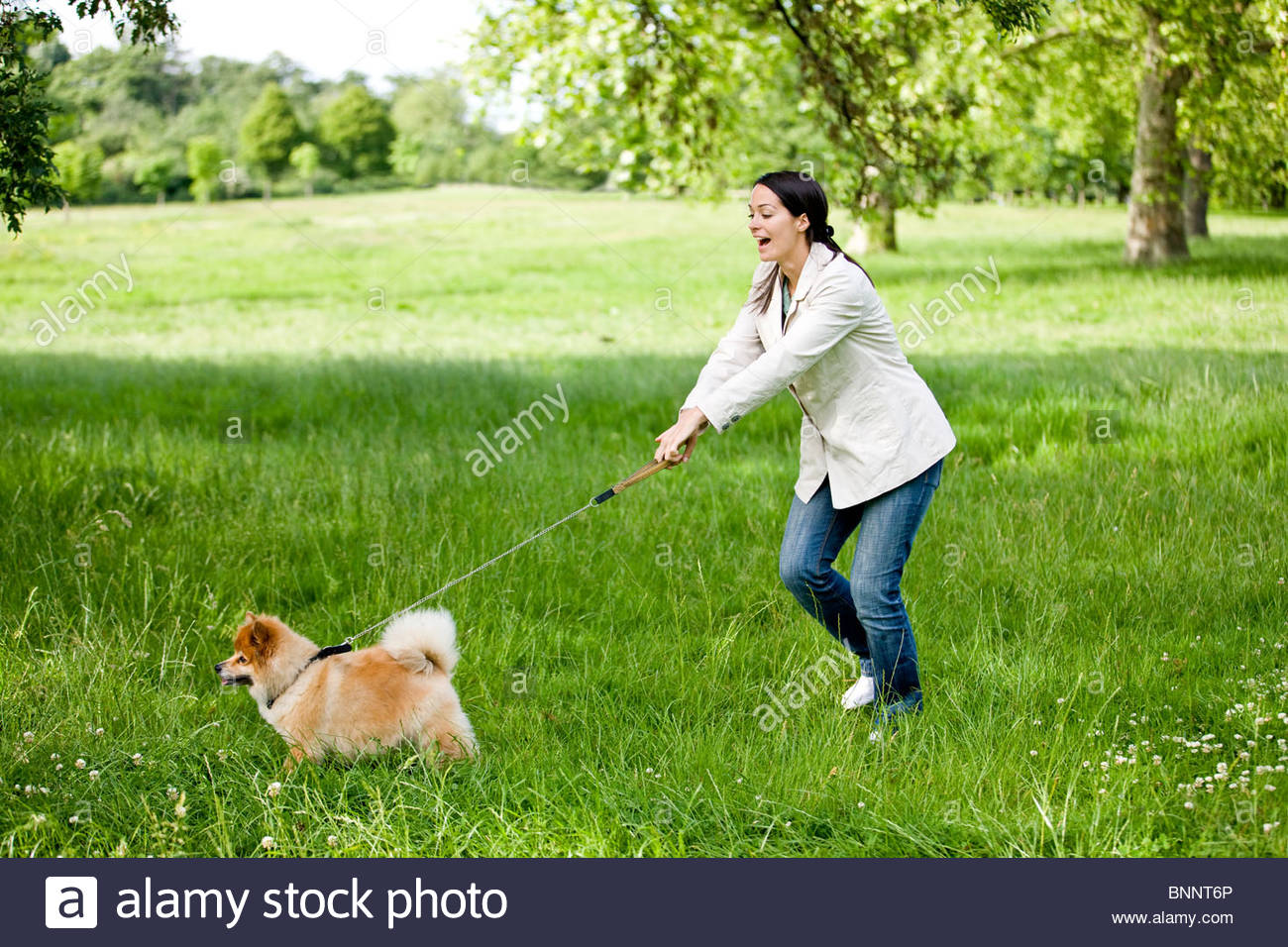Почему ваша собака тянет поводок и как это исправить