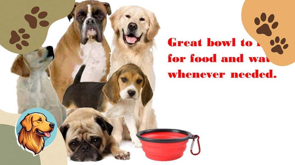 Эти породы собак украли сердца миллионов