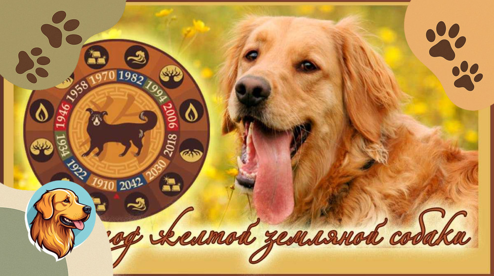 Узнай свою собачью сущность по знаку зодиака