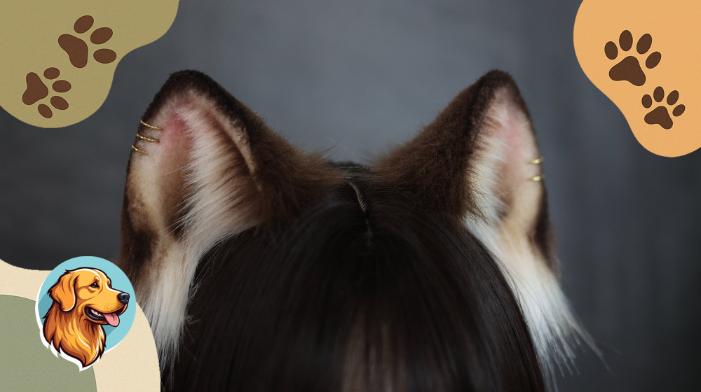 Тест КОТОФОТОШОП разоблачает фейковые уши