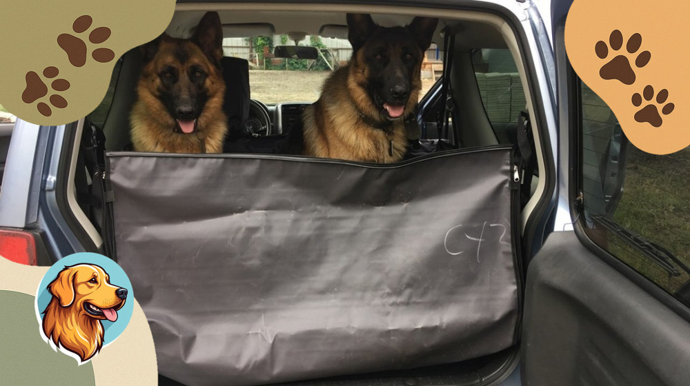 Ваша собака мечтает о путешествии вот этими 10 способами