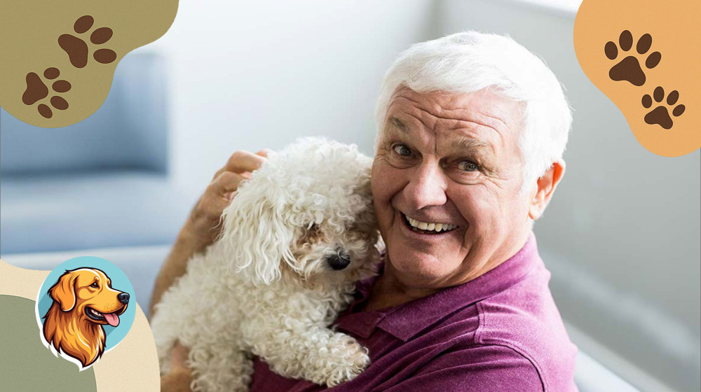 Собака или кошка — кто станет идеальным компаньоном для пенсионера