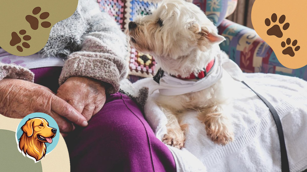 Питомцы продлевают жизнь после 60 и спасают от депрессии