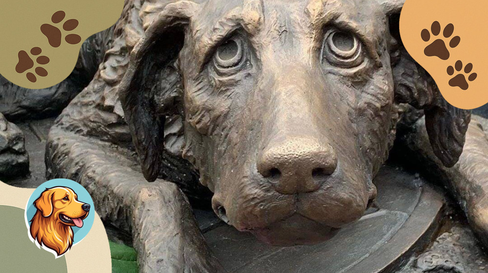 Как пережить утрату питомца и снова почувствовать радость