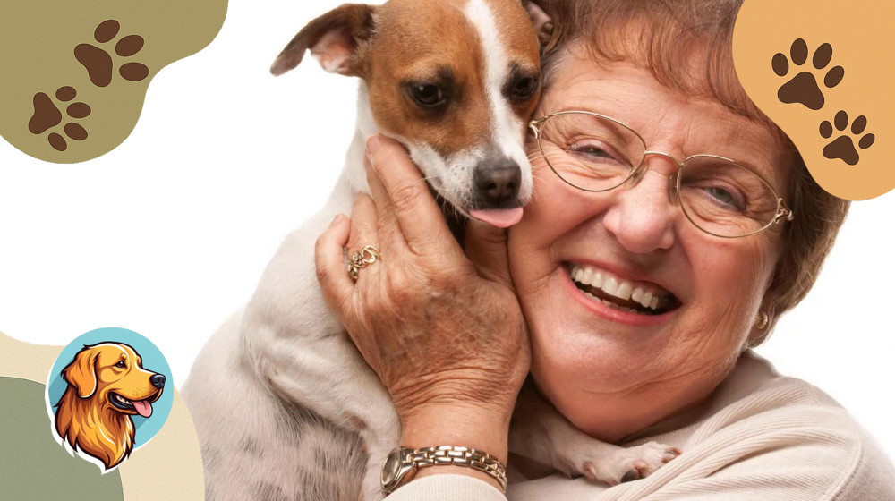 Бабушки и дедушки спасают бездомных животных и обретают счастье