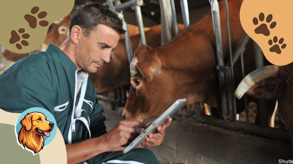 Спасательная операция на ферме Когда вода стала золотом